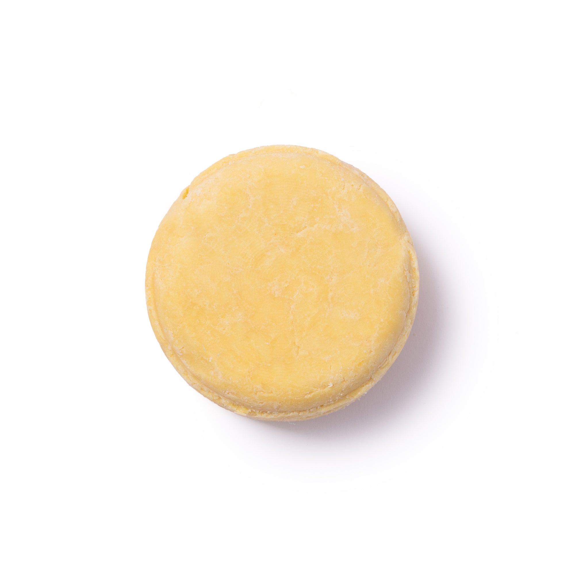 Solid Shampoo: Moisture - for Dry or Frizzy Hair