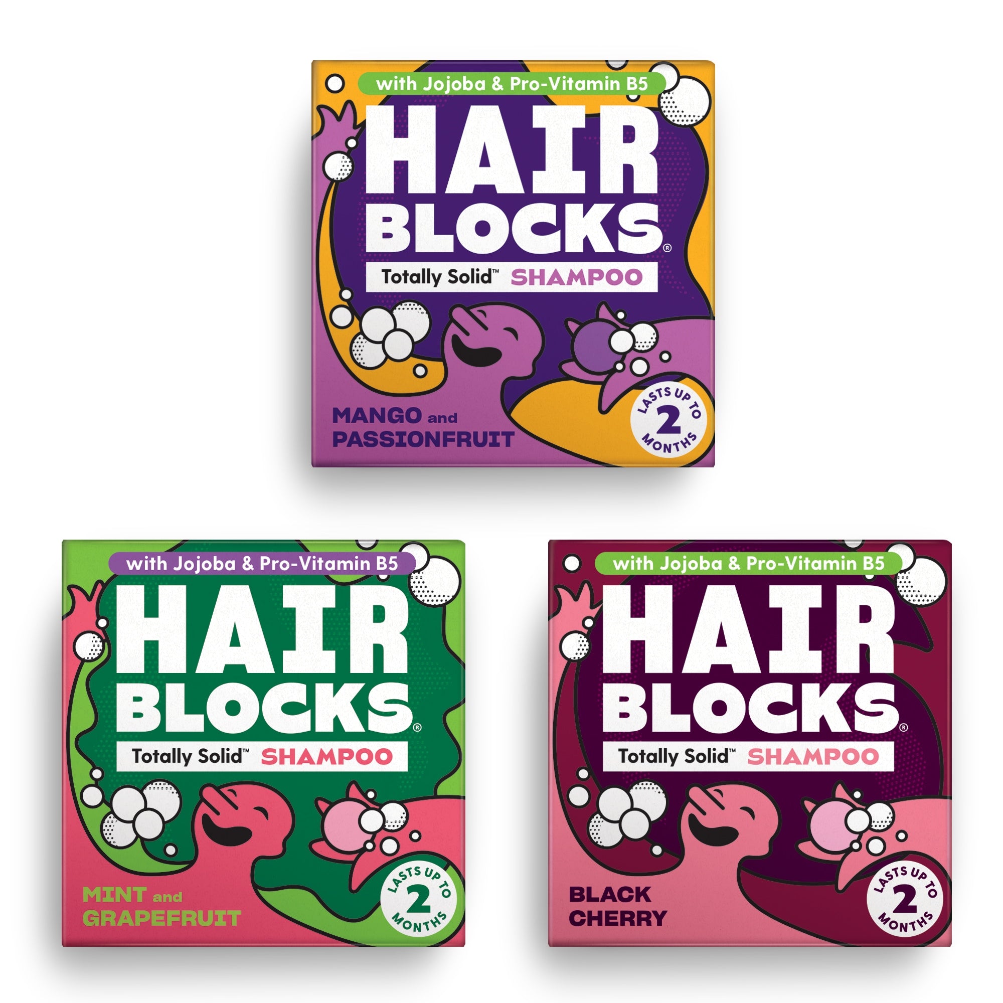 Solid Shampoo - Mixed 3 Pack